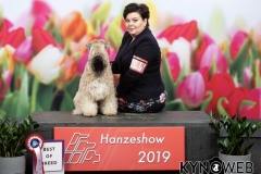 Int. Hanzeshow Zwolle 2019 BOB: A Gift For Life From RoBi's House